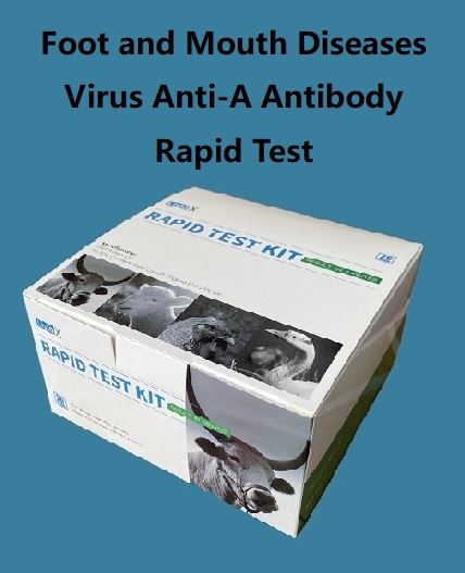 Veiste FMDV{0}}Ab test