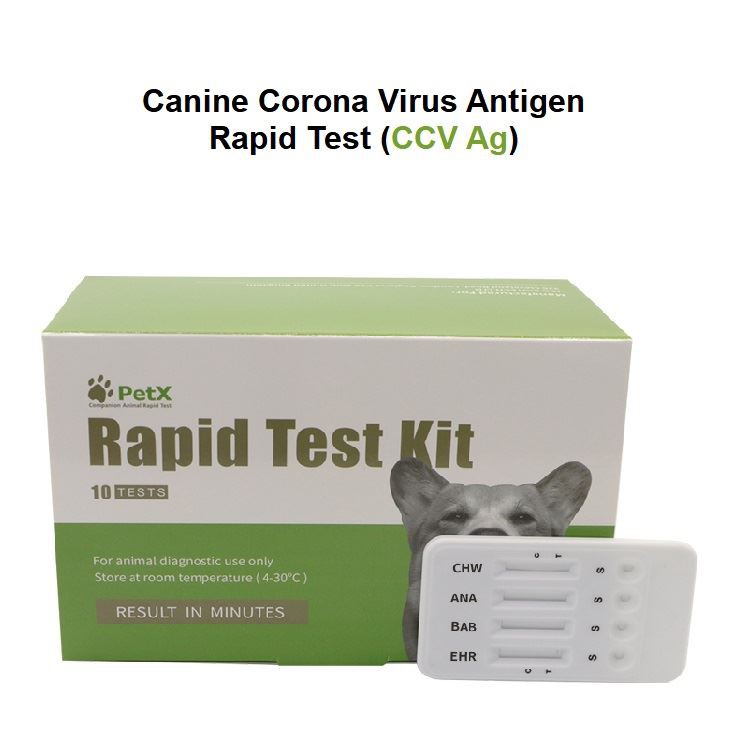 CCV Ag test